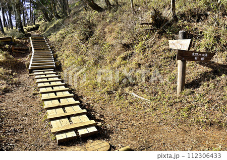 丹沢　丹沢主脈の登山道　八丁坂ノ頭の分岐 112306433