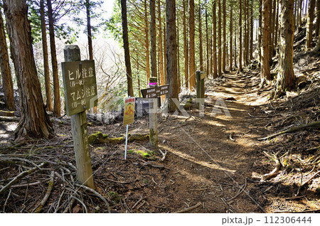丹沢の黍殻山　東海自然歩道　丹沢主脈の大平分岐 112306444