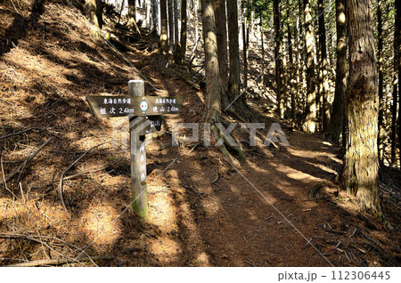 丹沢の登山道　黍殻山山頂へ続く道 112306445