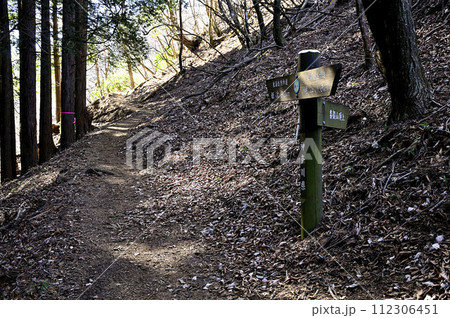 丹沢の登山道　黍殻山山頂へ続く道 112306451