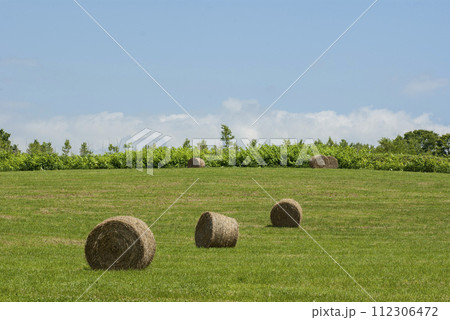 牧草ロールのある風景 牧草ロールのある風景 112306472