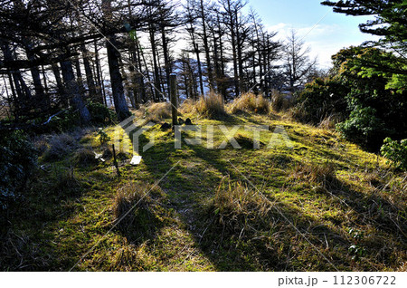 朝日射す　丹沢の袖平山山頂 112306722