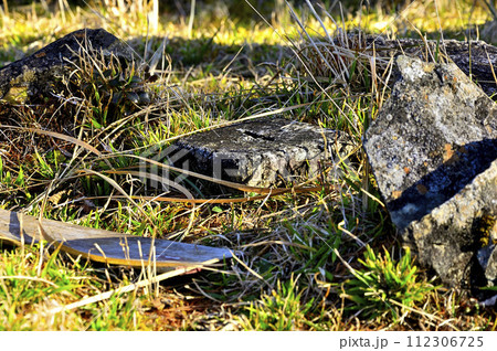 丹沢の袖平山山頂 三等三角点(青根村3) 丹沢の袖平山山頂 三等三角点(青根村3) 112306725