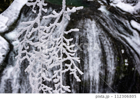 雪に包まれた関山大滝 112306805