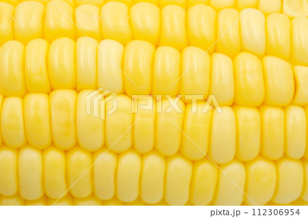 Close up Raw corn kernels in rows. 112306954