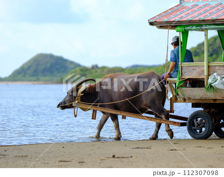 水牛車 112307098