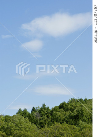 夏の青空と白い雲 夏の青空と白い雲 112307267