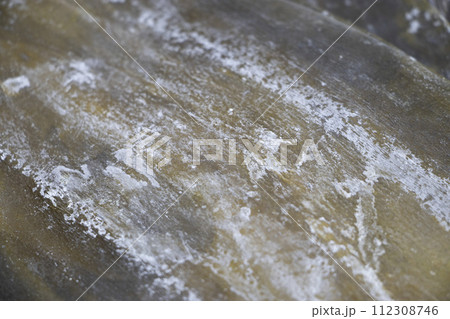 昆布 マンニット 112308746