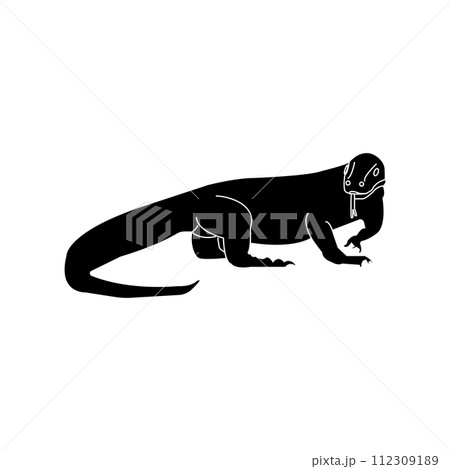 Komodo icon 112309189