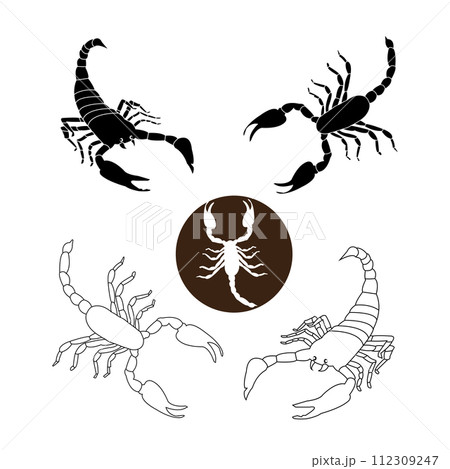 scorpion icon scorpion icon 112309247