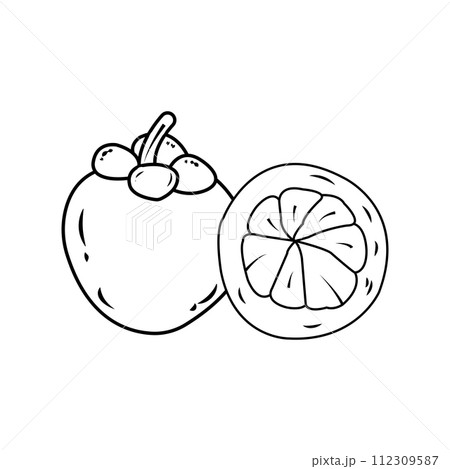 mangosteen icon 112309587