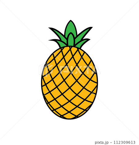 pineapple icon pineapple icon 112309613