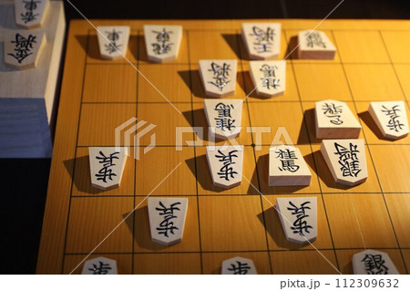 第49期棋王戦第3局投了棋譜の盤面 112309632