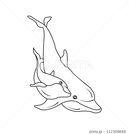dolphin icon 112309688
