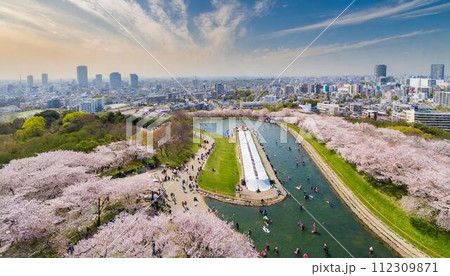 桜と人で賑わう風景_03 112309871