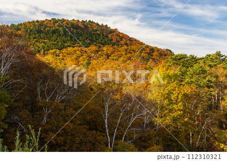 秋の長野 紅葉見頃の志賀高原 秋の長野 紅葉見頃の志賀高原 112310321