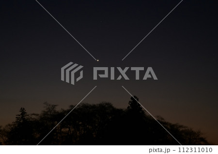 夜明け間近の森の上に輝く明けの明星 112311010