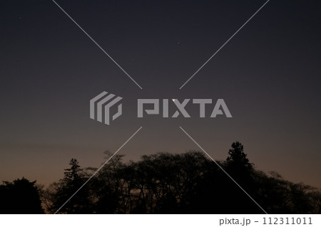 夜明け間近の森の上に輝く明けの明星 112311011