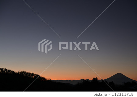 夜明け間近の森の上に輝く明けの明星 夜明け間近の森の上に輝く明けの明星 112311719