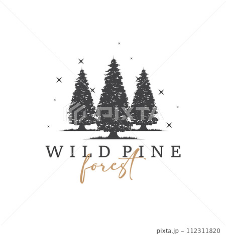 Forest Logo, Vector Forest Wood With Pine Trees, Design Inspirational Badge Label Illustration Forest Logo, Vector Forest Wood With Pine Trees, Design Inspirational Badge Label Illustration 112311820