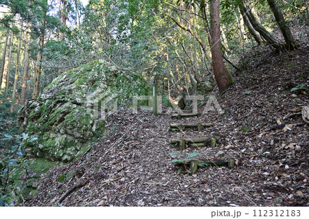 小谷城　清水谷の丸子岩 112312183