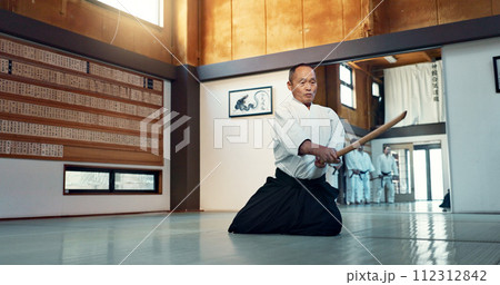 Aikido sword, mature sensei and man teaching class, self defense or combat technique. Martial arts, Japanese person and wooden weapon for skills development, attack demonstration or bokken strike 112312842