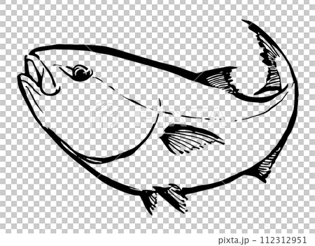 Yellowtail yellowtail illustration 112312951