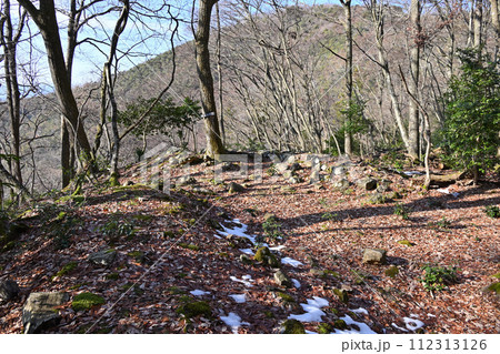 小谷城 京極丸に残る枡形虎口跡 小谷城 京極丸に残る枡形虎口跡 112313126