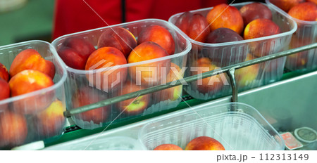 Plastic boxes with peaches on the conveyor of an automatic fruit packaging line Plastic boxes with peaches on the conveyor of an automatic fruit packaging line 112313149