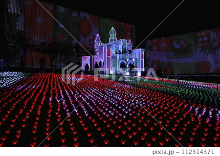 イルミネーション輝く冬の足利フラワーパーク 112314371