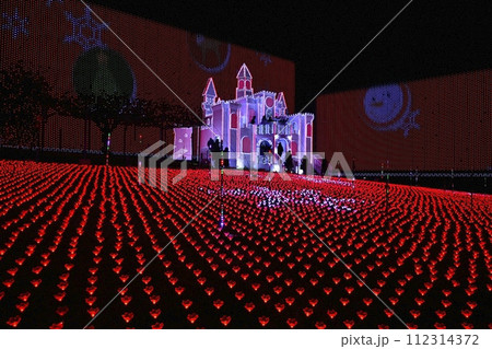 イルミネーション輝く冬の足利フラワーパーク 112314372