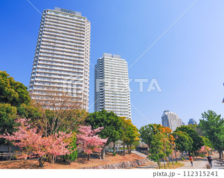 （東京都）お台場海浜公園の早咲き桜とタワーマンション 112315241