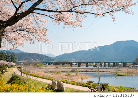 View of Miryang River park with cherry blossoms in Miryang, Korea 112315337