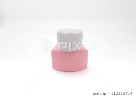 a model teeth, model teeth displaying different a model teeth, model teeth displaying different 112315714