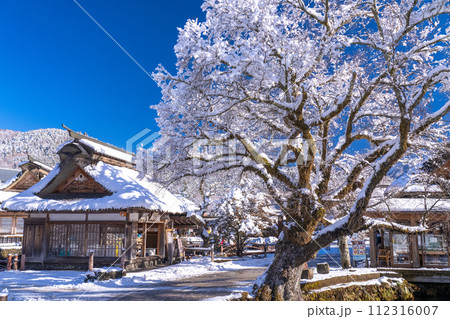 《山梨県》積雪の忍野八海 112316007