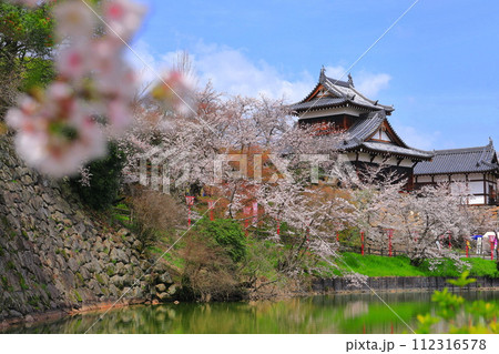【奈良県】晴天の郡山城と満開の桜（追手向櫓） 112316578