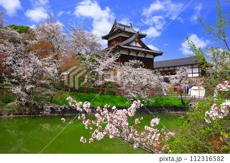 【奈良県】晴天の郡山城と満開の桜（追手向櫓） 112316582