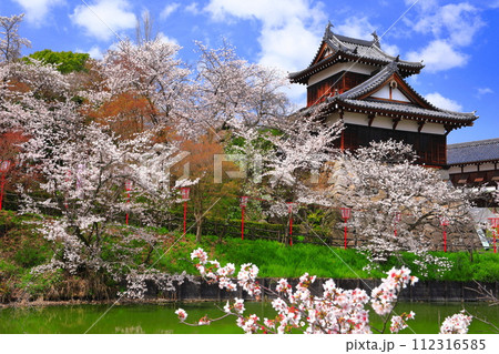 【奈良県】晴天の郡山城と満開の桜（追手向櫓） 112316585