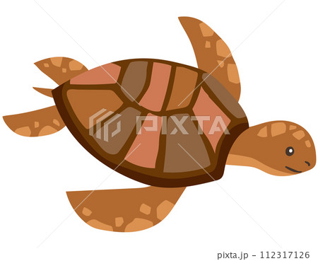 ウミガメ　亀　海 112317126