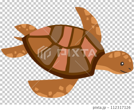 ウミガメ　亀　海 112317126