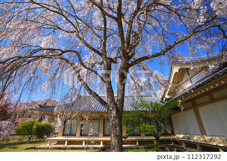 【京都府】桜が満開の醍醐寺(霊宝館) 【京都府】桜が満開の醍醐寺(霊宝館) 112317292