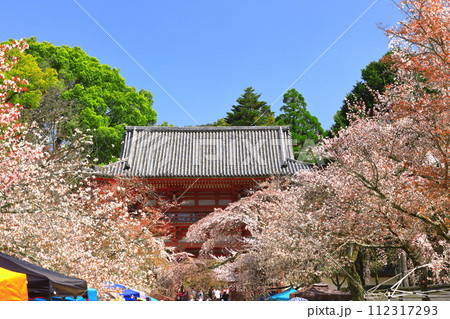 【京都府】桜が満開の醍醐寺（仁王門） 112317293