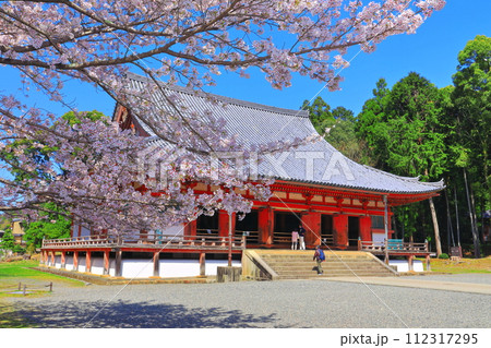 【京都府】桜が満開の醍醐寺(金堂) 【京都府】桜が満開の醍醐寺(金堂) 112317295