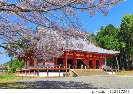 【京都府】桜が満開の醍醐寺(金堂) 【京都府】桜が満開の醍醐寺(金堂) 112317298