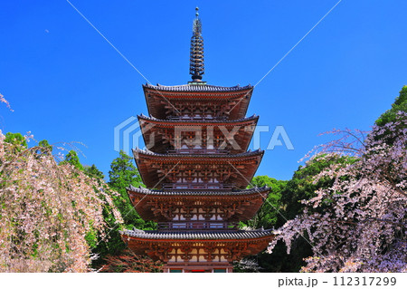 【京都府】桜が満開の醍醐寺（五重塔） 112317299