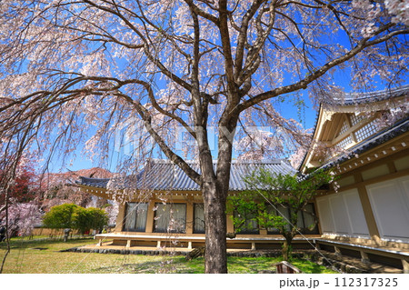 【京都府】桜が満開の醍醐寺（霊宝館） 112317325