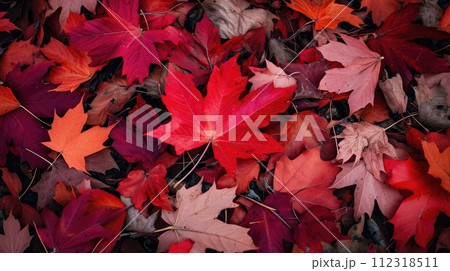 Vibrant red maple leaves blanketing the forest ground in autumn, Ai Generated 112318511