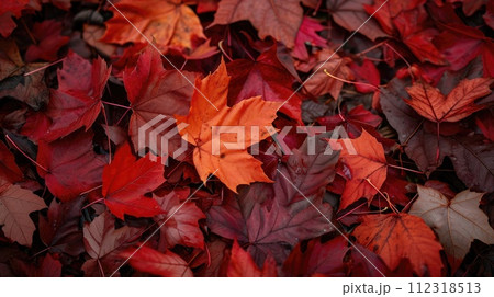 Vibrant red maple leaves blanketing the forest ground in autumn, Ai Generated 112318513