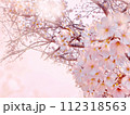 淡いピンクの桜の背景 112318563