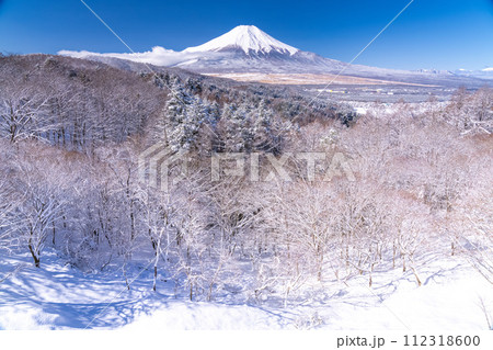《山梨県》冬の富士山・積雪の二十曲峠 112318600